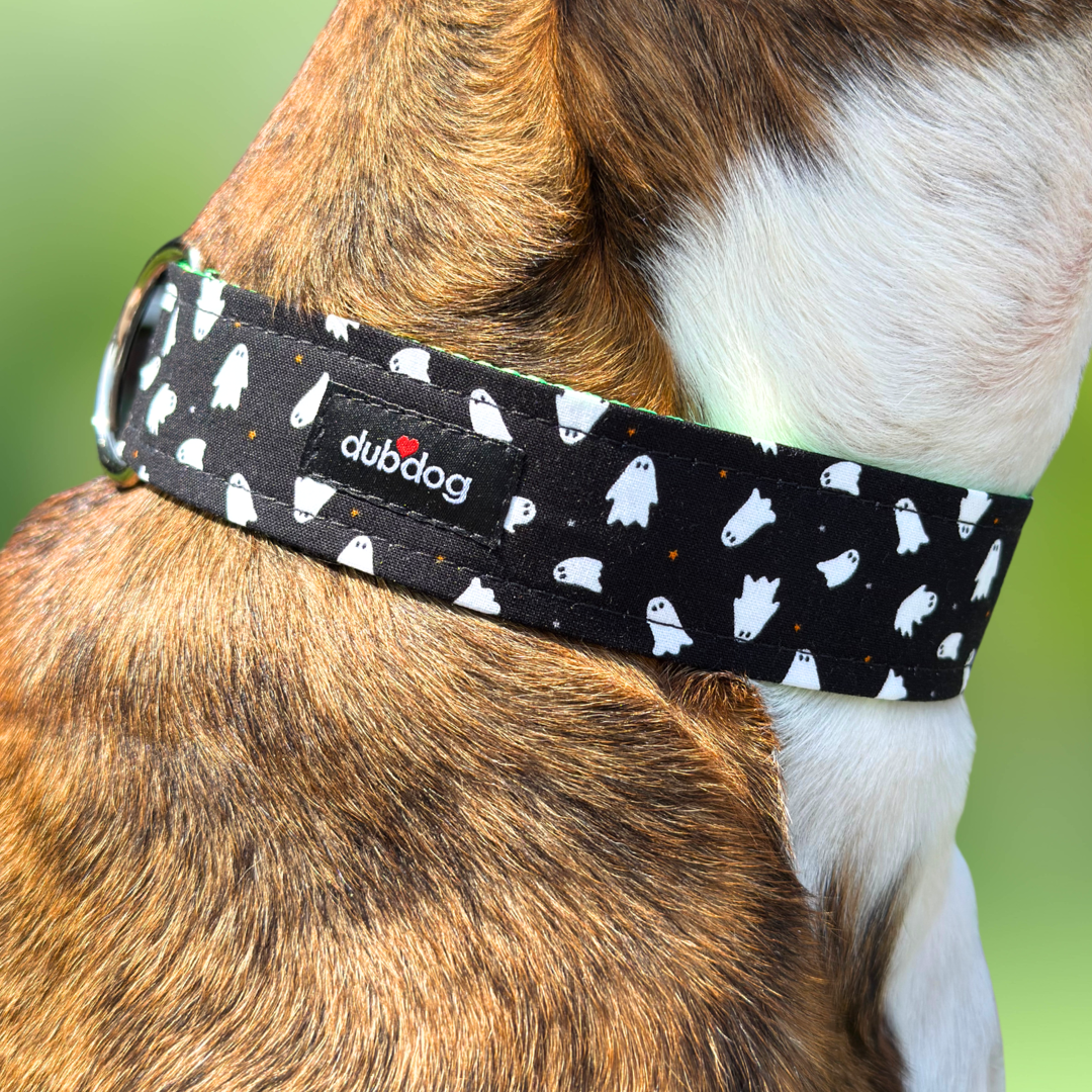 Spooky Season Is Here: Halloween Style for Your Pup