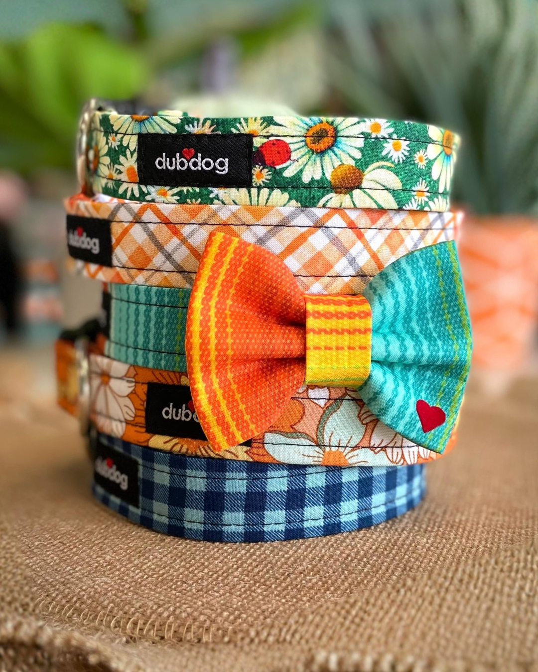 Fall Looks Good on Your Pup: Meet the Dubdog Fall Collection