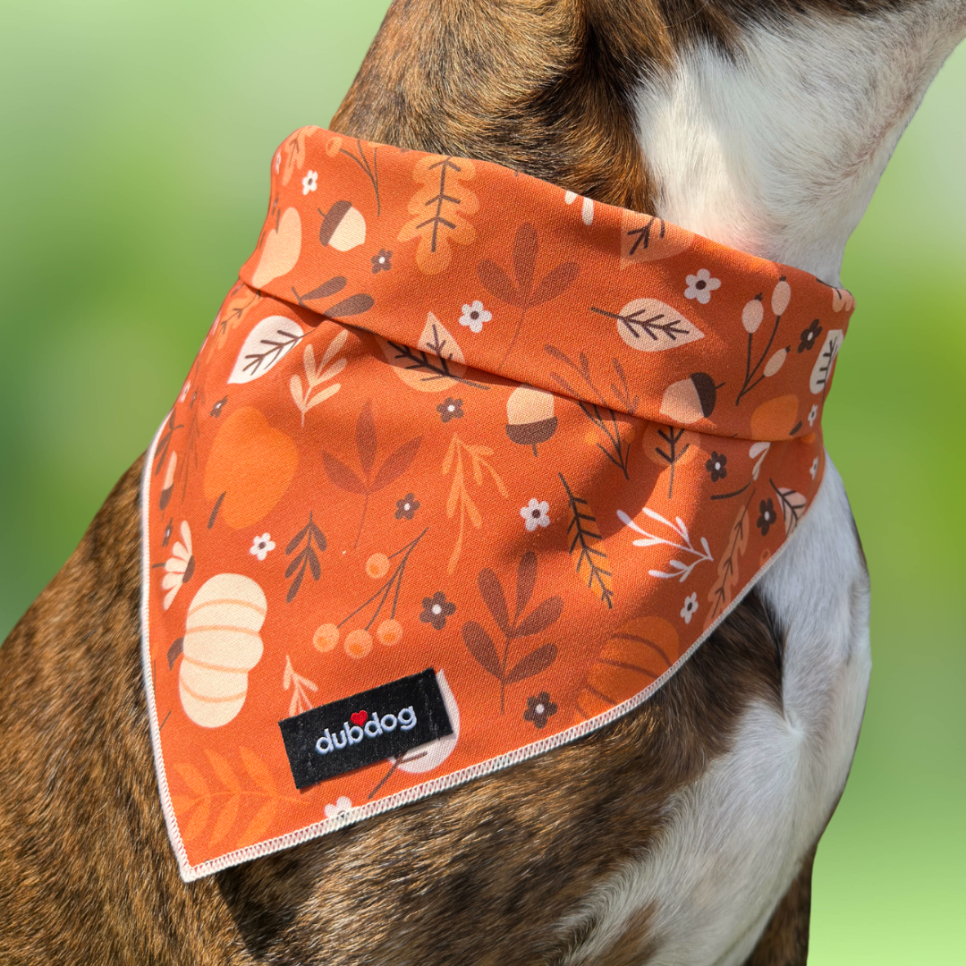 Bandanas