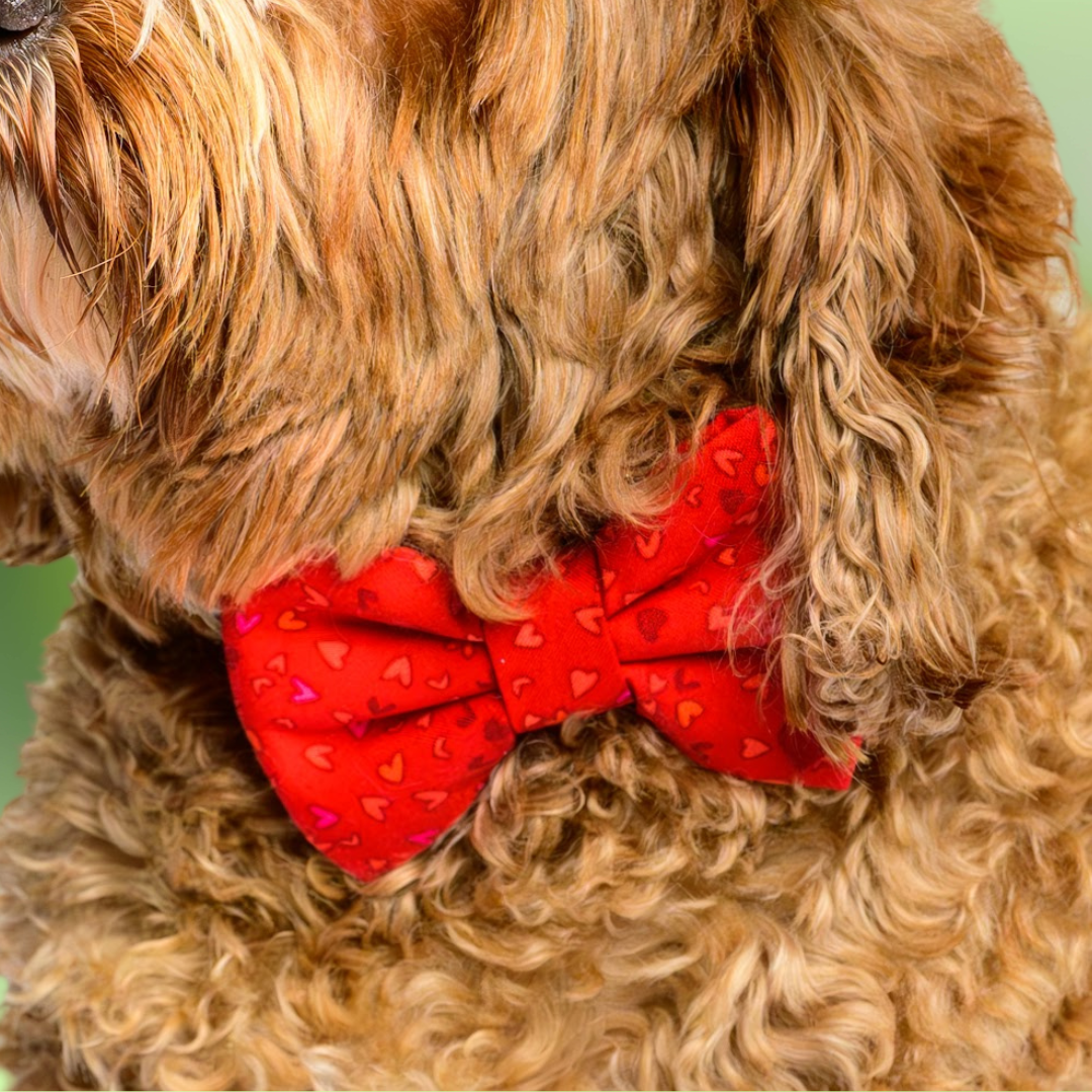 Bow Ties