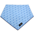 Boys in Blue Bandana