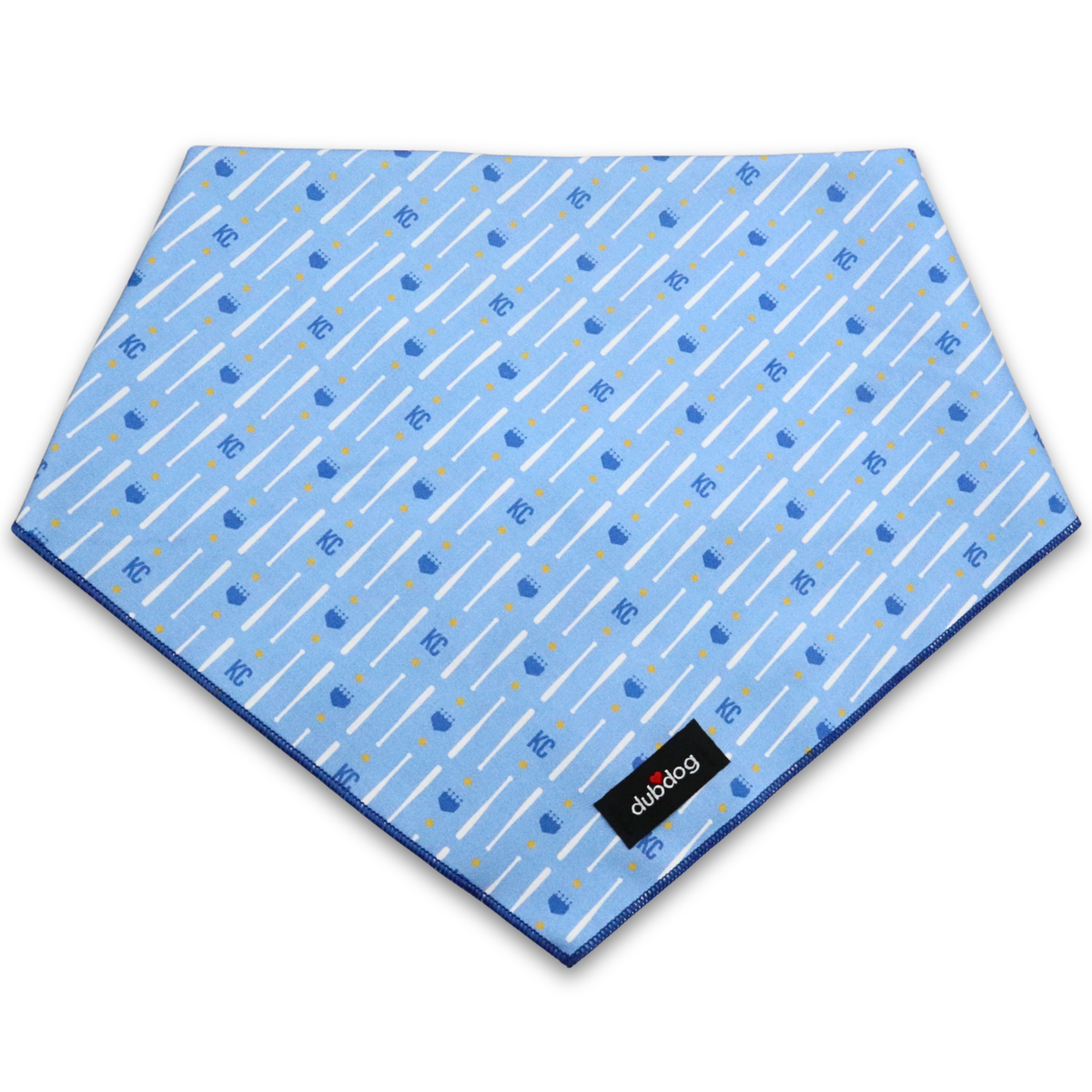 Boys in Blue Bandana