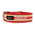 KC Stripe Collar