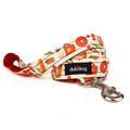 Pumpkin Spice Leash