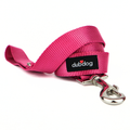 Simply Raspberry Leash