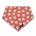 Winnie Bandana