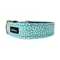 Beau Collar