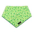 Frogs Bandana
