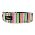 Halloween Stripe Collar