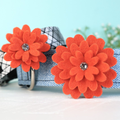 Pumpkin Felt Daisy