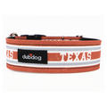 Texas Stripe Collar